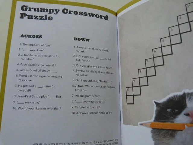 grumpy cat – photo 3